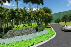 RainforestEdge2
